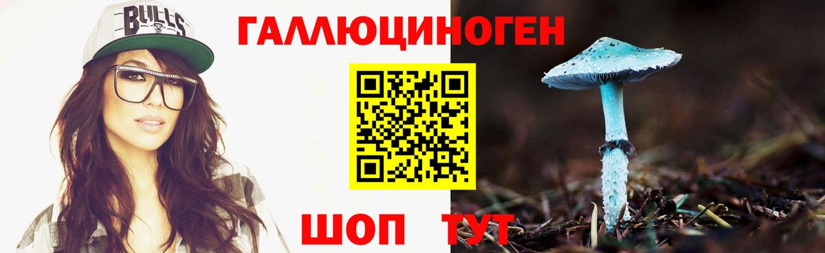 Фрязино  Псилоцибиновые грибы MAGIC MUSHROOMS  Вход с VPN  Галлюциногенные грибы MAGIC MUSHROOMS 
