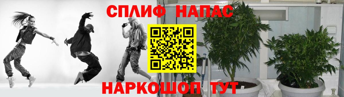 Шишки марихуана ГИДРОПОН Фрязино